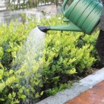 Watering Can 10 Liter, Large Capacity Watering Can, Detachable Nozzle Equipment - Image 3