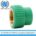 PPR Female Brass Socket